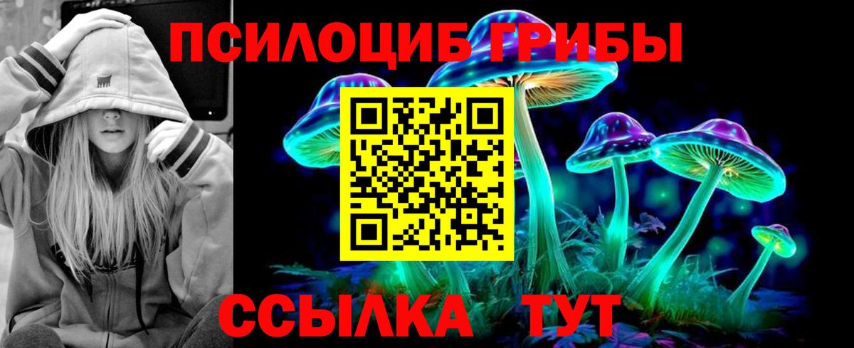 Галлюциногенные грибы Psilocybine cubensis Электрогорск